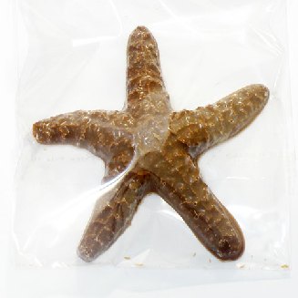 Морская звезда маленькая шоколадная