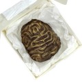 Шоколадний мозок